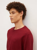 Tom Tailor Ανδρικό Πουλόβερ BASIC CREW KNITWEAR 1027299-30315 Μπορντό
