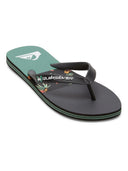 Quiksilver  Molokai Stripe  Ανδρικές Σαγιονάρες AQYL101361-XKKG Μαύρο