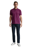 Navy & Green Ανδρική Μπλούζα Πόλο Κοντομάνικη 24GE.300.9 Dark Purple Μωβ