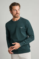Navy & Green Ανδρικό Πλεκτό Βαμβακερό 24YM.926/P.4 Hunter Green Πράσινο