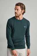 Navy & Green Ανδρικό Πλεκτό Βαμβακερό 24YM.926/P.4 Hunter Green Πράσινο