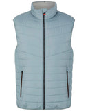 Tom Tailor Ανδρικό Γιλέκο Lightweight 1034034-27475 Μπλε