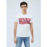 Pepe Jeans Ανδρική Μπλούζα RAURY T-Shirt PM506480-346 Dark Chicle