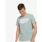 Ανδρική Μπλούζα Tom Tailor Printed Logo T-Shirt 1030034-12960 Πράσινο