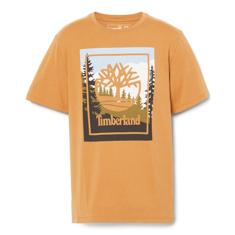 Timberland Ανδρική Μπλούζα T-Shirt SS Outdoor Inspired Graphic Tee TB0A6F4KP47-Μπεζ